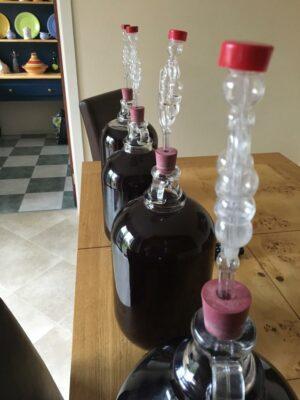 Wine-making with Quarterlands blackberries