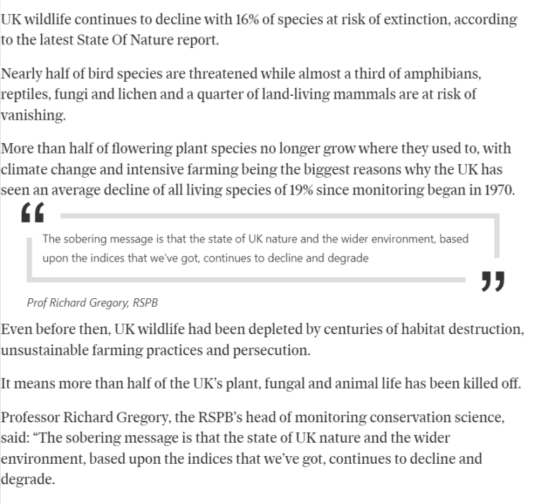 Belfast Telegraph article on wildlife declining in NI Sept 2023