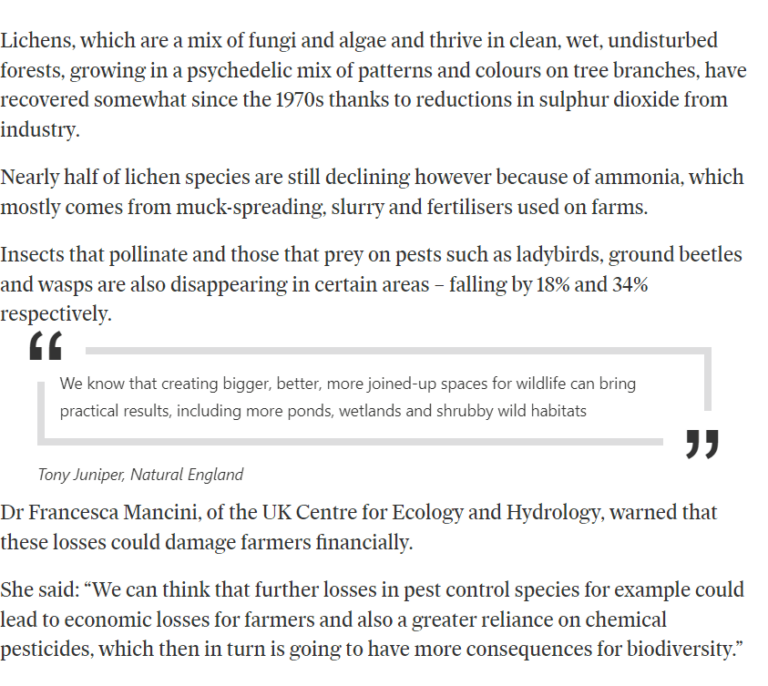 Belfast Telegraph article on wildlife declining in NI Sept 2023