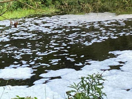 Worrying Suds and Foam that smelt bad River Lagan
