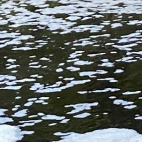 Worrying Suds and Foam that smelt bad River Lagan