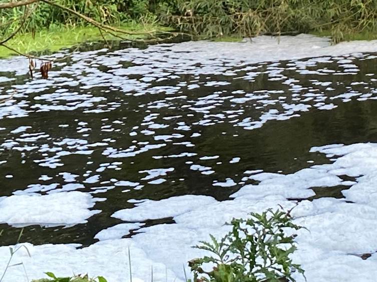 Sewage spilling into the River Lagan