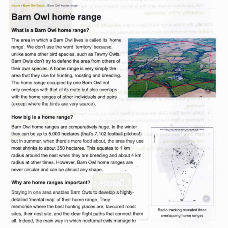 Barn Owls information